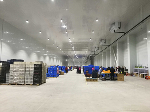 建設(shè)8000平米電商物流低溫冷藏庫費(fèi)用造價(jià)是多少？