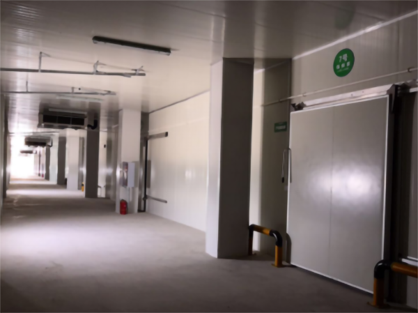 建一個5000立方香蕉冷藏冷庫大概要多少錢？