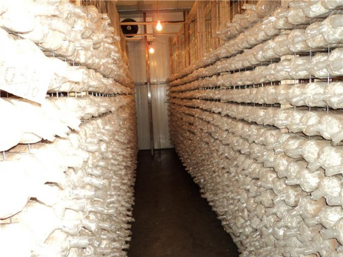 建一個(gè)100平方香菇冷庫全套要多少錢？