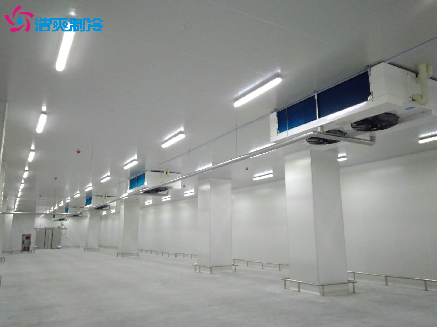 建造一個冷庫大概需要多少錢?