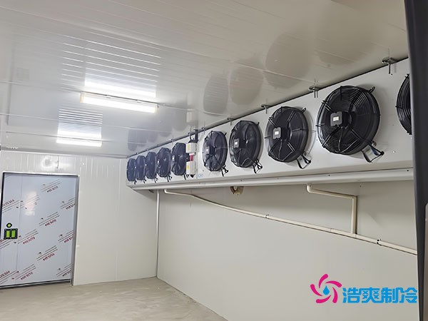 冷凍庫建設(shè)每平方米的造價(jià)是多少?