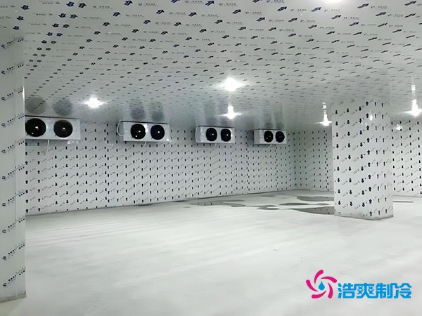 在市區(qū)建設(shè)一個100平方米的冷庫需要多少費用？