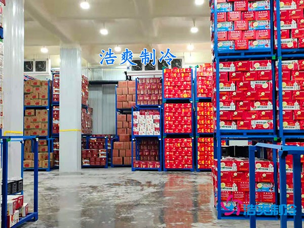 500平果蔬冷庫造價曝光！35萬起建，省錢秘訣在這里！
