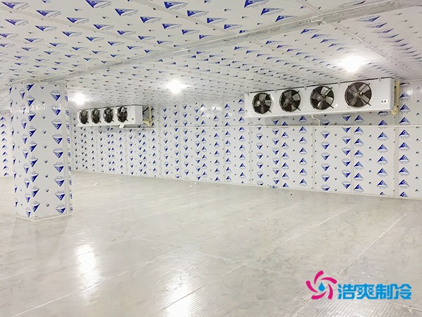 100噸橙子保鮮冷庫造價(jià)