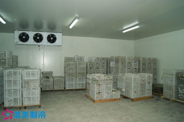 大蔥保鮮庫(kù)內(nèi)景圖