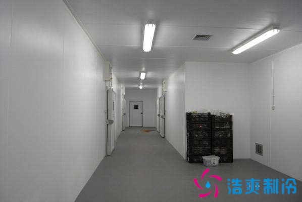 預建1000噸果蔬冷庫設計規劃,冷庫價格多少錢