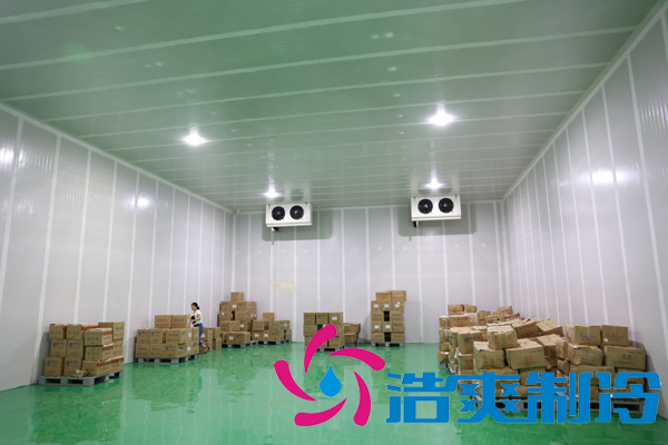 上海藥廠建造-20℃醫(yī)藥血漿冷庫(kù),超低溫血漿冷庫(kù)定制預(yù)算多少