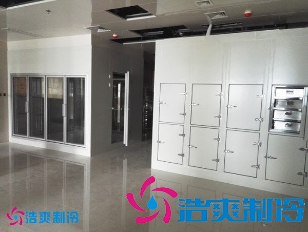 建造2-8℃社區衛生中心冷庫(藥品冷藏庫)設備安裝造價多少