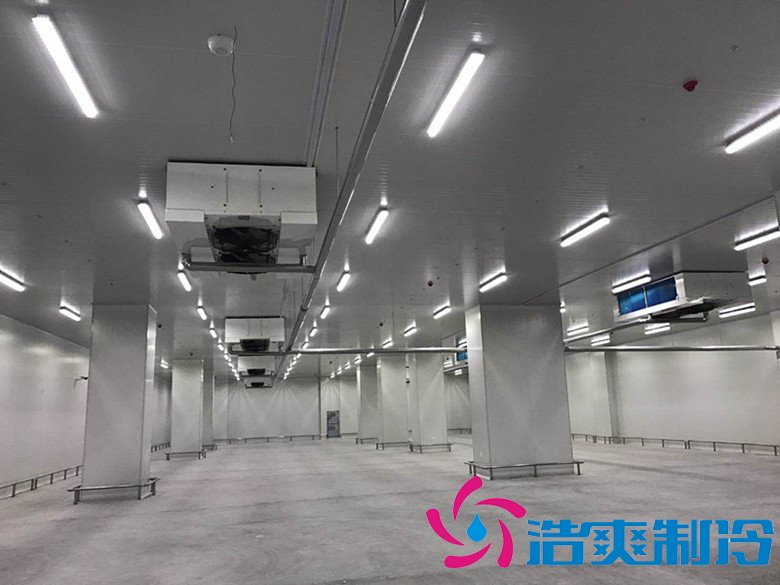 港口冷鏈冷庫市場(chǎng)趨勢(shì)和現(xiàn)狀，萬噸港口冷鏈低溫倉儲(chǔ)造價(jià)預(yù)算